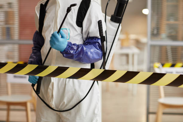 Professional Sewage Cleanup technician working in Elk Point, SD